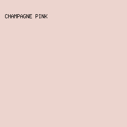 ECD4CE - Champagne Pink color image preview