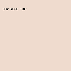 EFDBCE - Champagne Pink color image preview