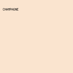 FAE4CF - Champagne color image preview