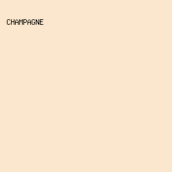 fbe7cd - Champagne color image preview