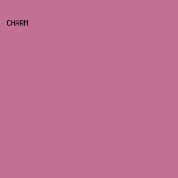 C27193 - Charm color image preview