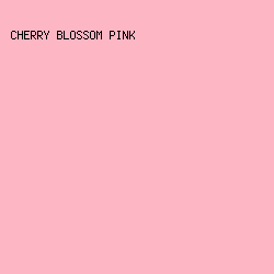 FDB6C4 - Cherry Blossom Pink color image preview