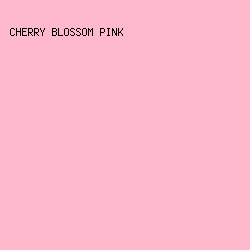 FDB9CB - Cherry Blossom Pink color image preview