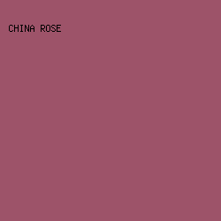 9D5369 - China Rose color image preview