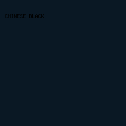 0A1824 - Chinese Black color image preview