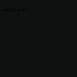 0E1010 - Chinese Black color image preview
