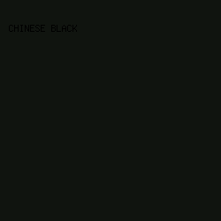 10140F - Chinese Black color image preview