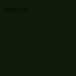 101909 - Chinese Black color image preview