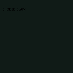 101b17 - Chinese Black color image preview