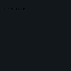 12171b - Chinese Black color image preview