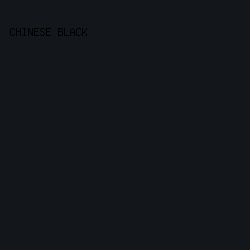 13171B - Chinese Black color image preview