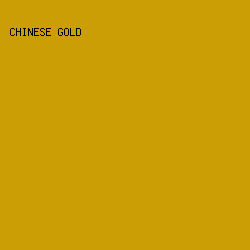 CC9E06 - Chinese Gold color image preview