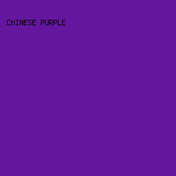 65169F - Chinese Purple color image preview