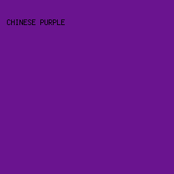 6A148F - Chinese Purple color image preview