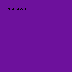 6D119C - Chinese Purple color image preview