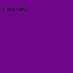 6E0687 - Chinese Purple color image preview