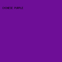 6E0E97 - Chinese Purple color image preview