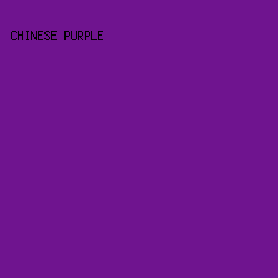 6F148F - Chinese Purple color image preview