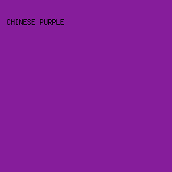 861D9B - Chinese Purple color image preview