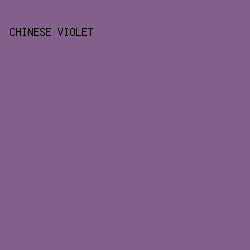 835f8b - Chinese Violet color image preview