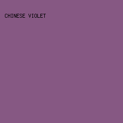 865883 - Chinese Violet color image preview