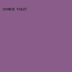 8A5C8A - Chinese Violet color image preview