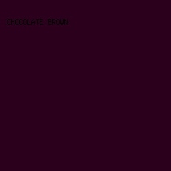 2B001D - Chocolate Brown color image preview