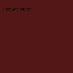 521716 - Chocolate Cosmos color image preview
