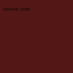 531816 - Chocolate Cosmos color image preview