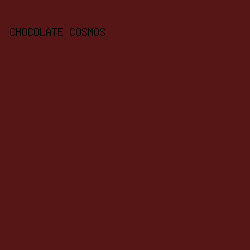 551615 - Chocolate Cosmos color image preview