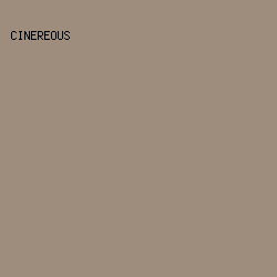 9E8D7C - Cinereous color image preview