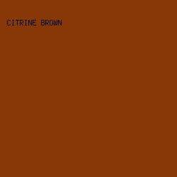 883806 - Citrine Brown color image preview