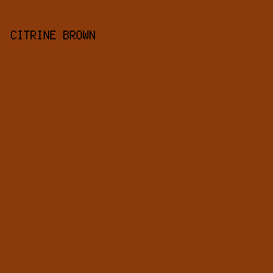 8A3A0B - Citrine Brown color image preview