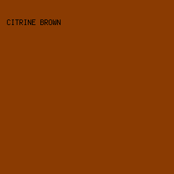 8A3B02 - Citrine Brown color image preview