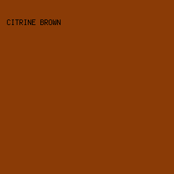 8A3B06 - Citrine Brown color image preview