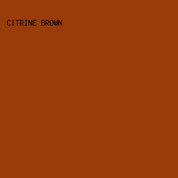 9a3c07 - Citrine Brown color image preview
