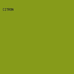 869B1C - Citron color image preview