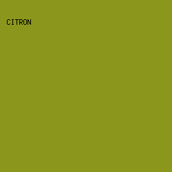 8B971C - Citron color image preview