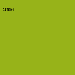 97B319 - Citron color image preview