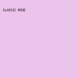 ECC3EB - Classic Rose color image preview
