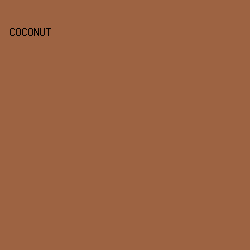 9D6342 - Coconut color image preview