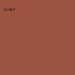 9F5341 - Coconut color image preview