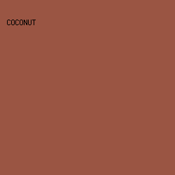 9a5543 - Coconut color image preview