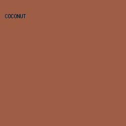 9d5e45 - Coconut color image preview