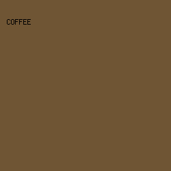 6F5534 - Coffee color image preview