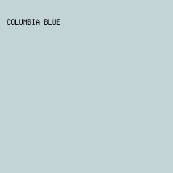 C3D4D6 - Columbia Blue color image preview