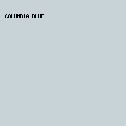 C8D3D8 - Columbia Blue color image preview