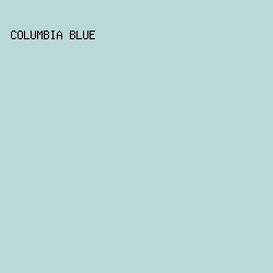 bad8d8 - Columbia Blue color image preview