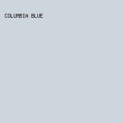 cdd6dc - Columbia Blue color image preview