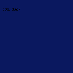 0A185F - Cool Black color image preview